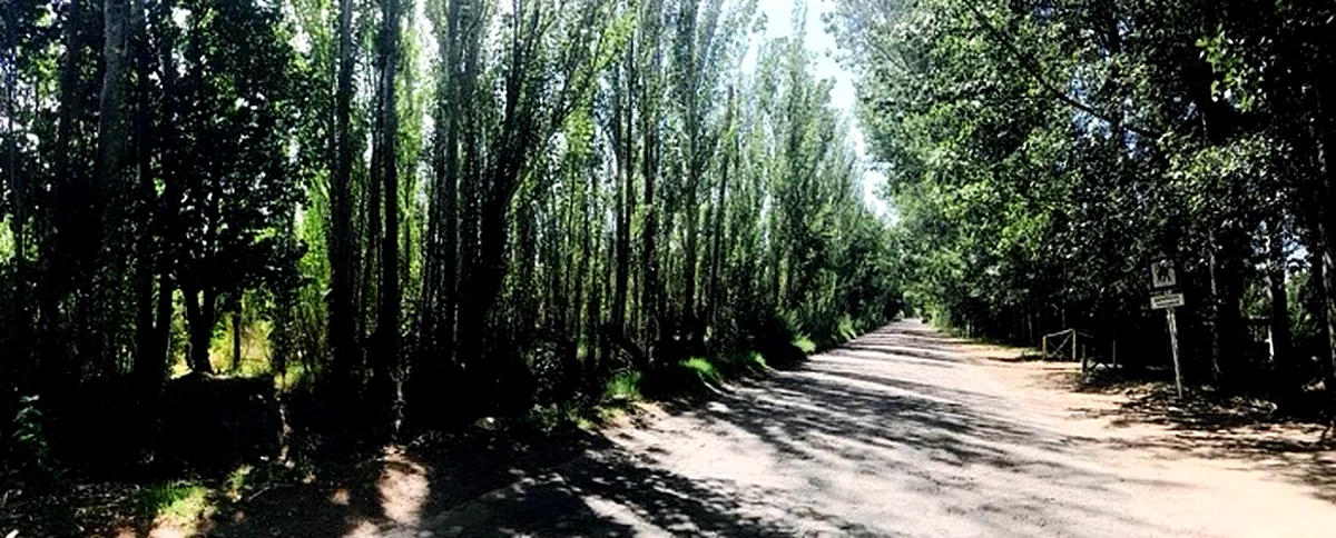 San Rafael Argentina real estate